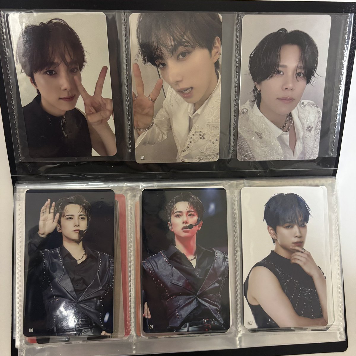 🐻‍❄️ tweet media