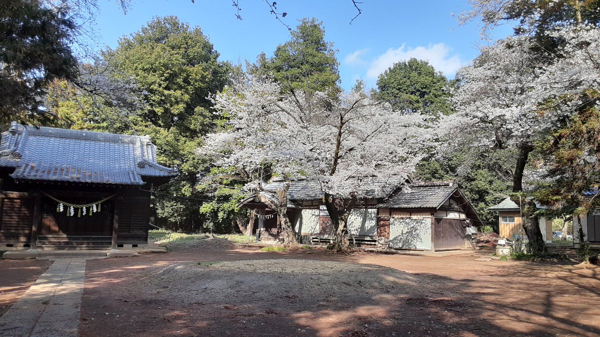 そらのムタ tweet media