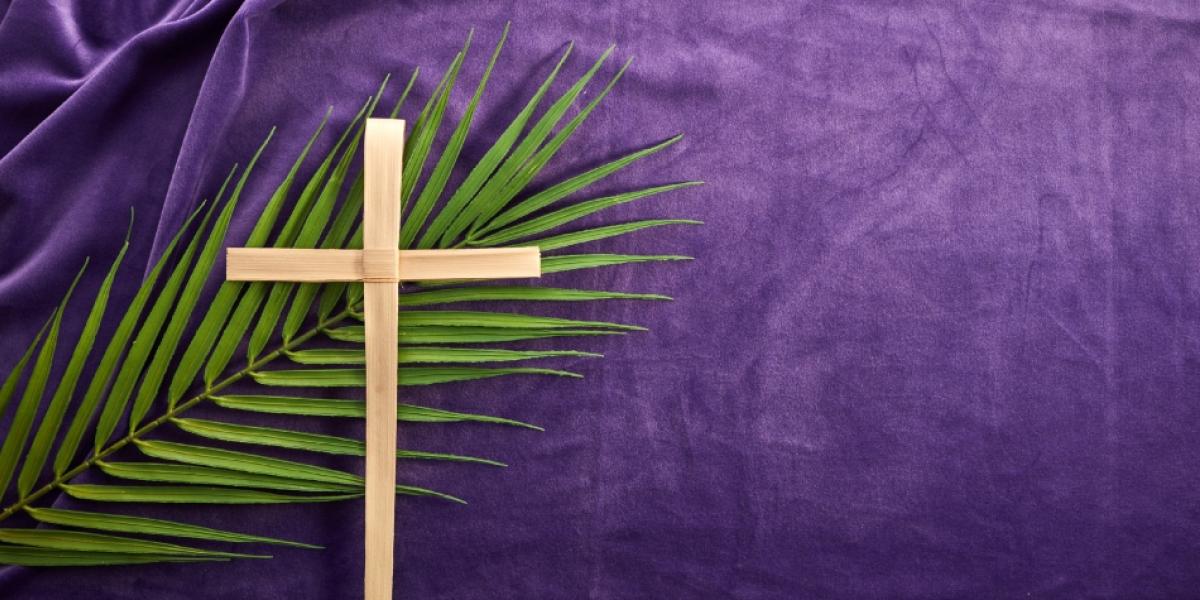 ElNacionalRD's tweet photo. #QuéPasaEN | Más allá de las procesiones, el Vía Crucis y la Vigilia Pascual, Semana Santa está llena de detalles que pasan desapercibidos.
https://t.co/bKg2C0dcTV

#Colores #ElNacional #ElNacionalDigital #Mensaje #Reflexión #SemanaSanta #Significado #Simbolos #ElNacionalRD https://t.co/2NDrdkT3xl