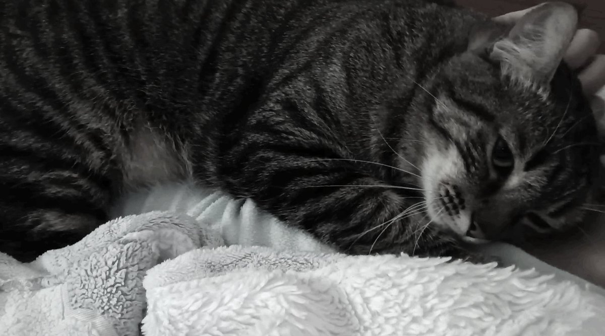 mary 𐂯 ☡zᶻ tweet media