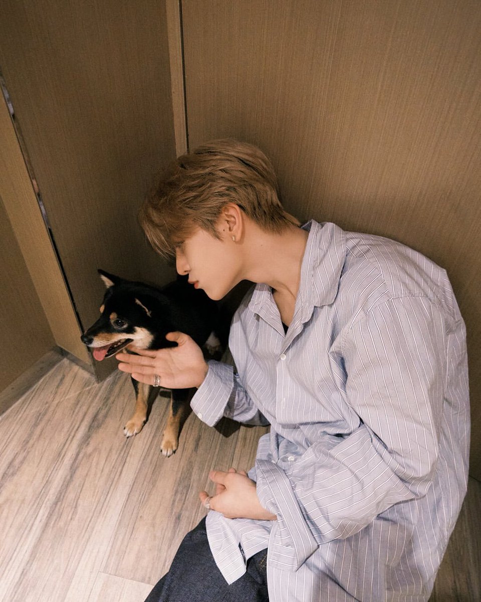 𝖓𝖆 tweet media