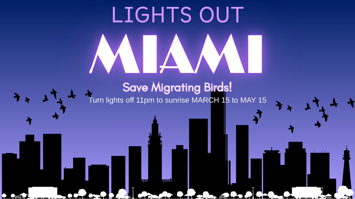 Tropical Audubon tweet media