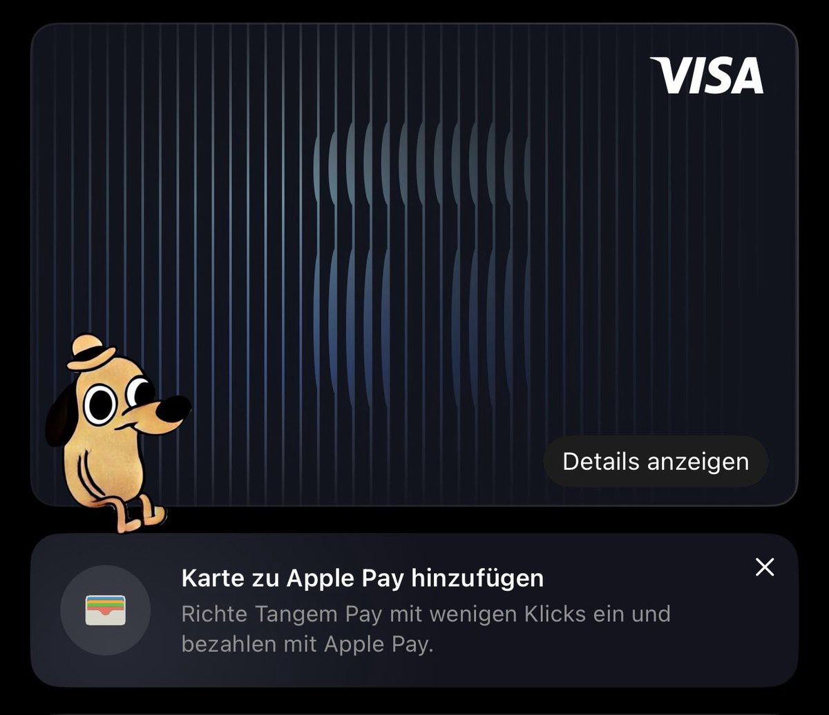 Fine Citizens - Switzerland tweet media