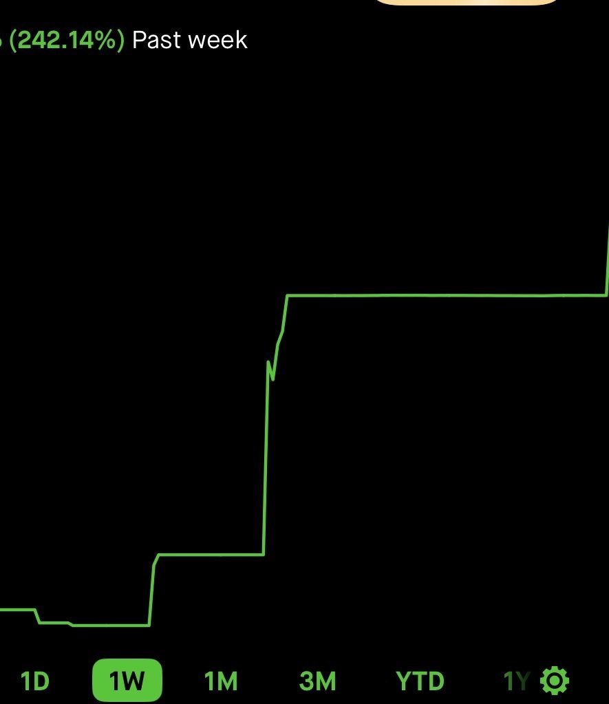 Options King tweet media