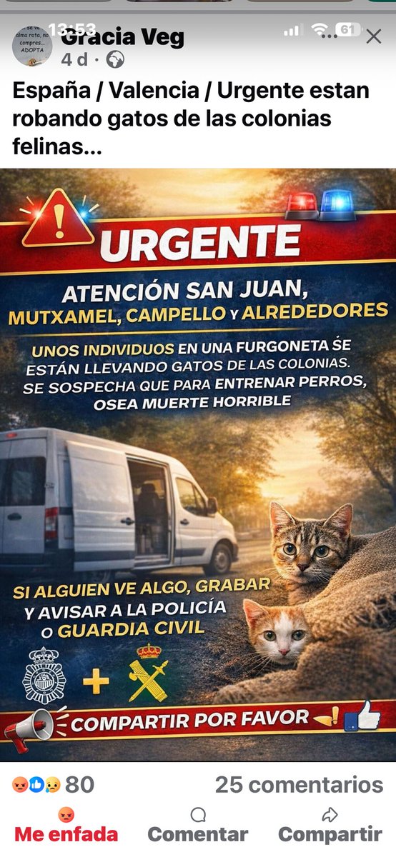 Mercedes gomez herranz tweet media