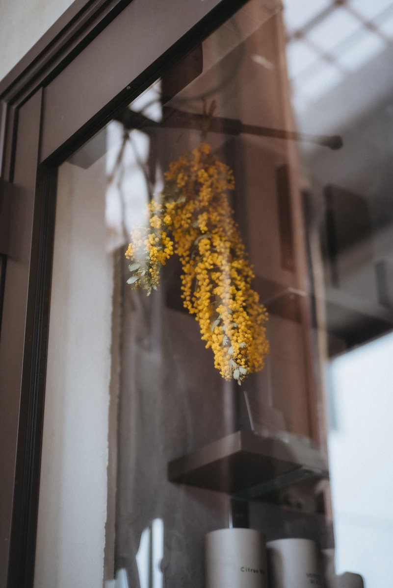 BUG （バグ） tweet media