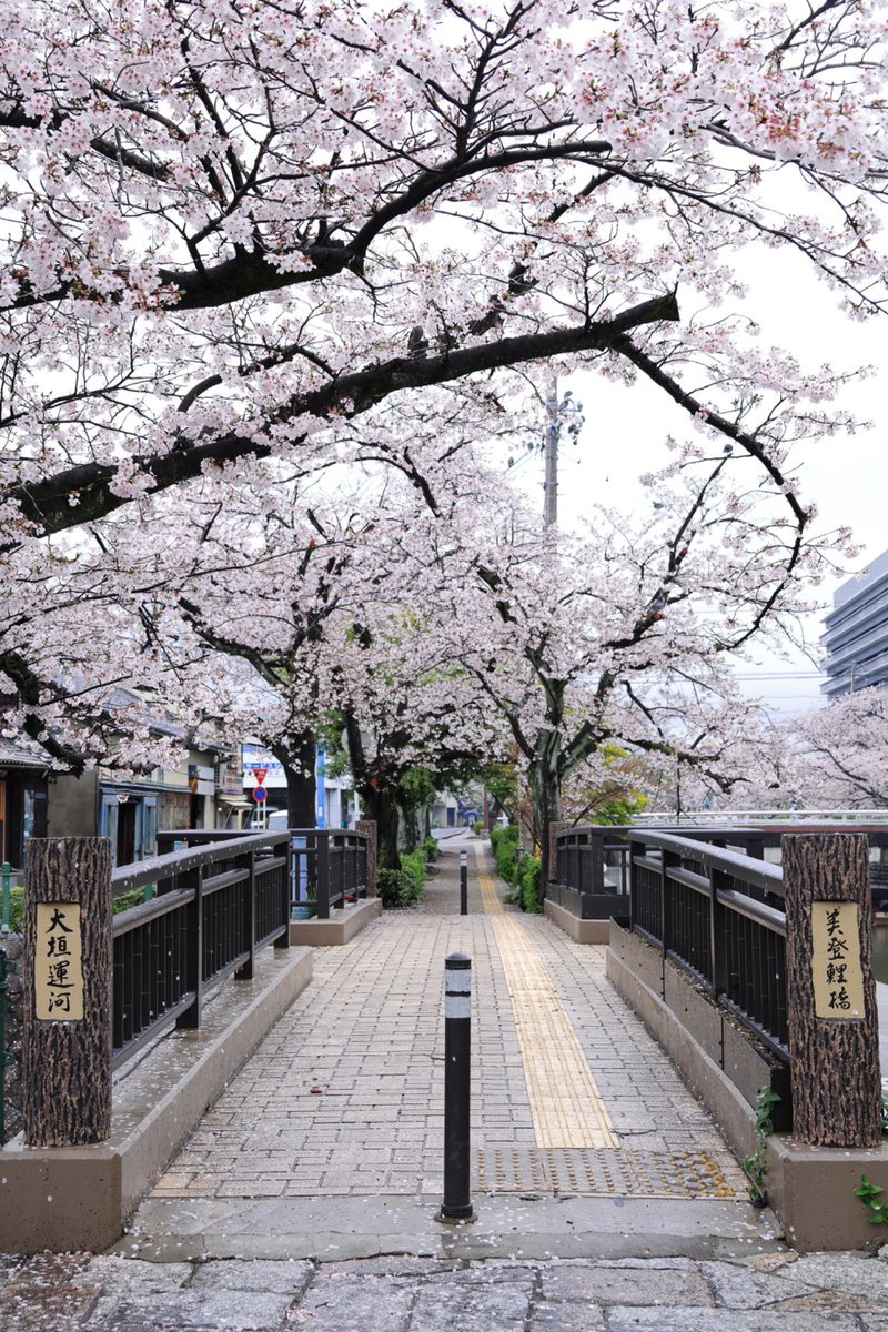 じゅん tweet media