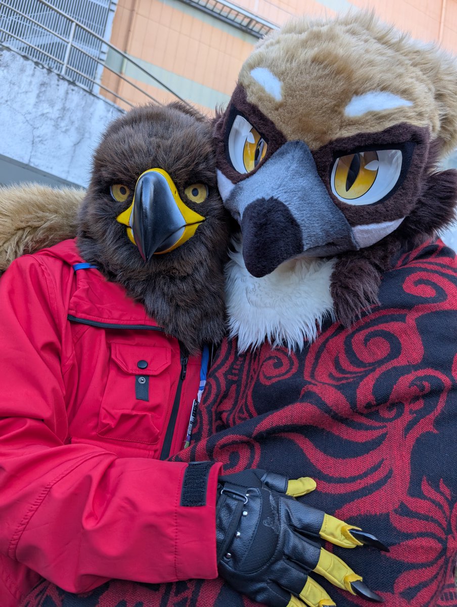 風朱→関ケモ【G-58】 tweet media