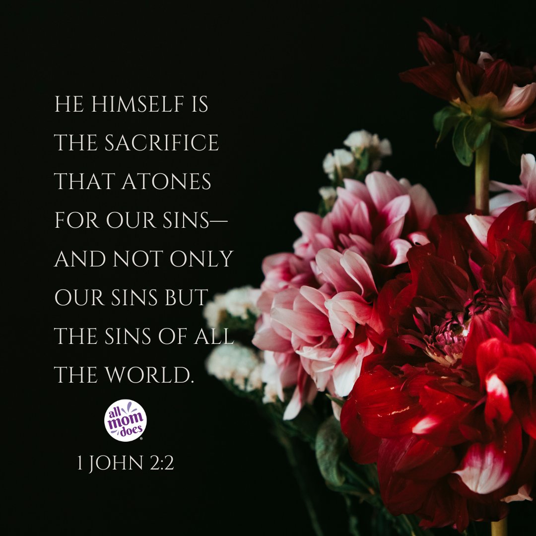 AllMomDoes tweet media