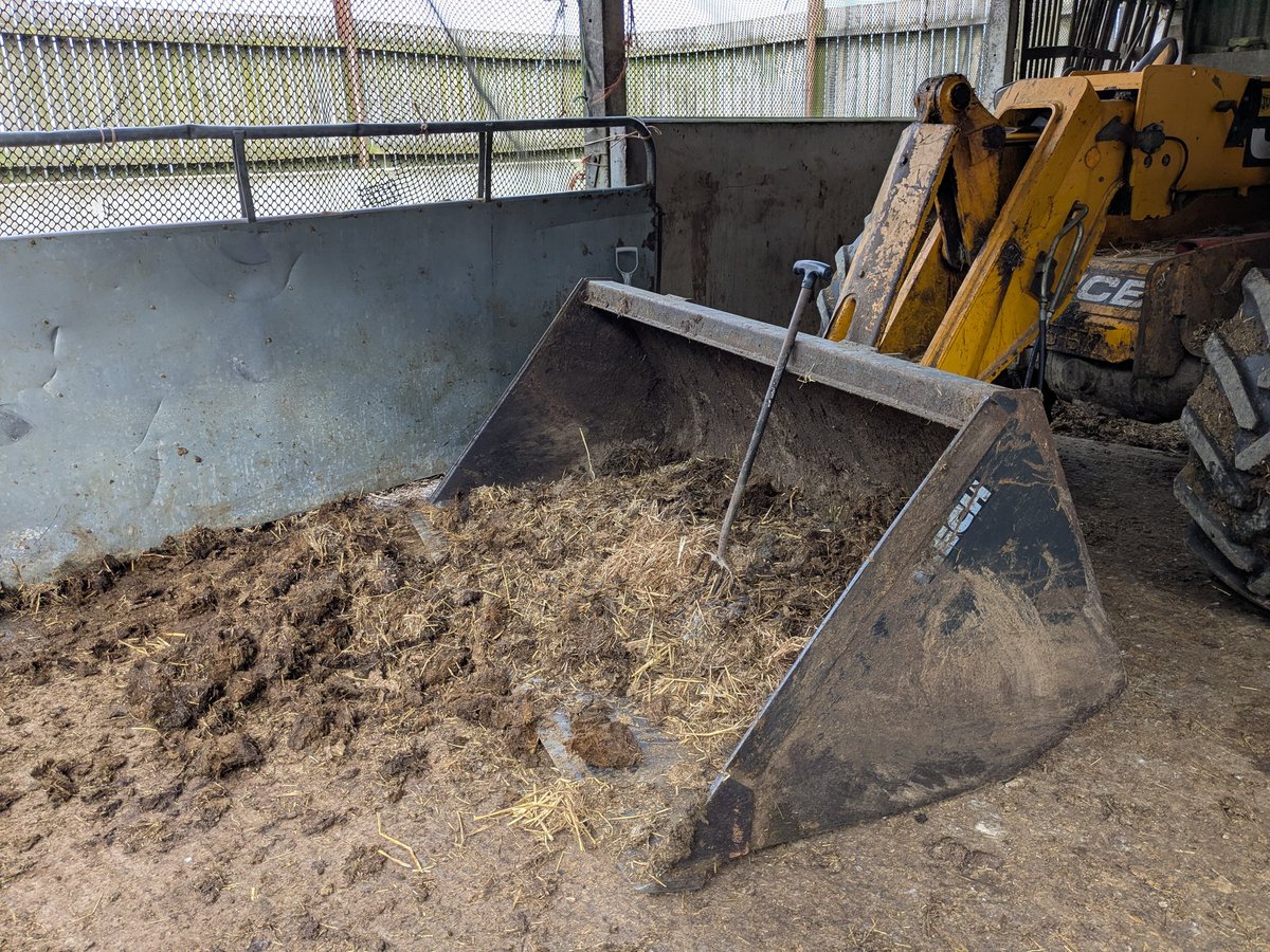 Sheep In Stitches tweet media