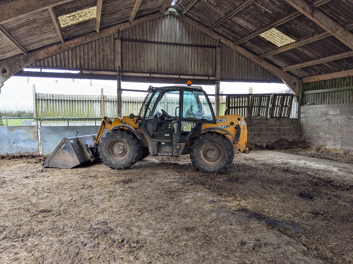 Sheep In Stitches tweet media