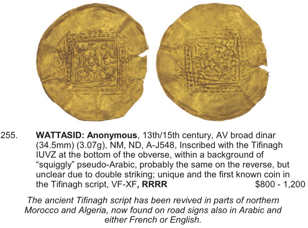 Kirthzayer 🇩🇿ⵣ tweet media