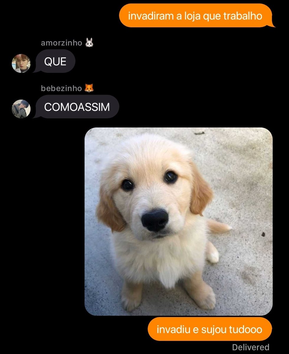 arara azul ¡ dominATE tweet media