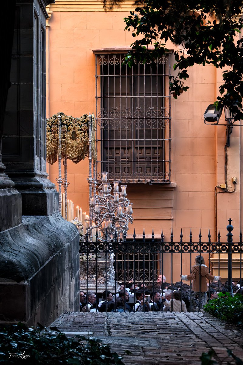 Francisco Mayorga 📷 tweet media