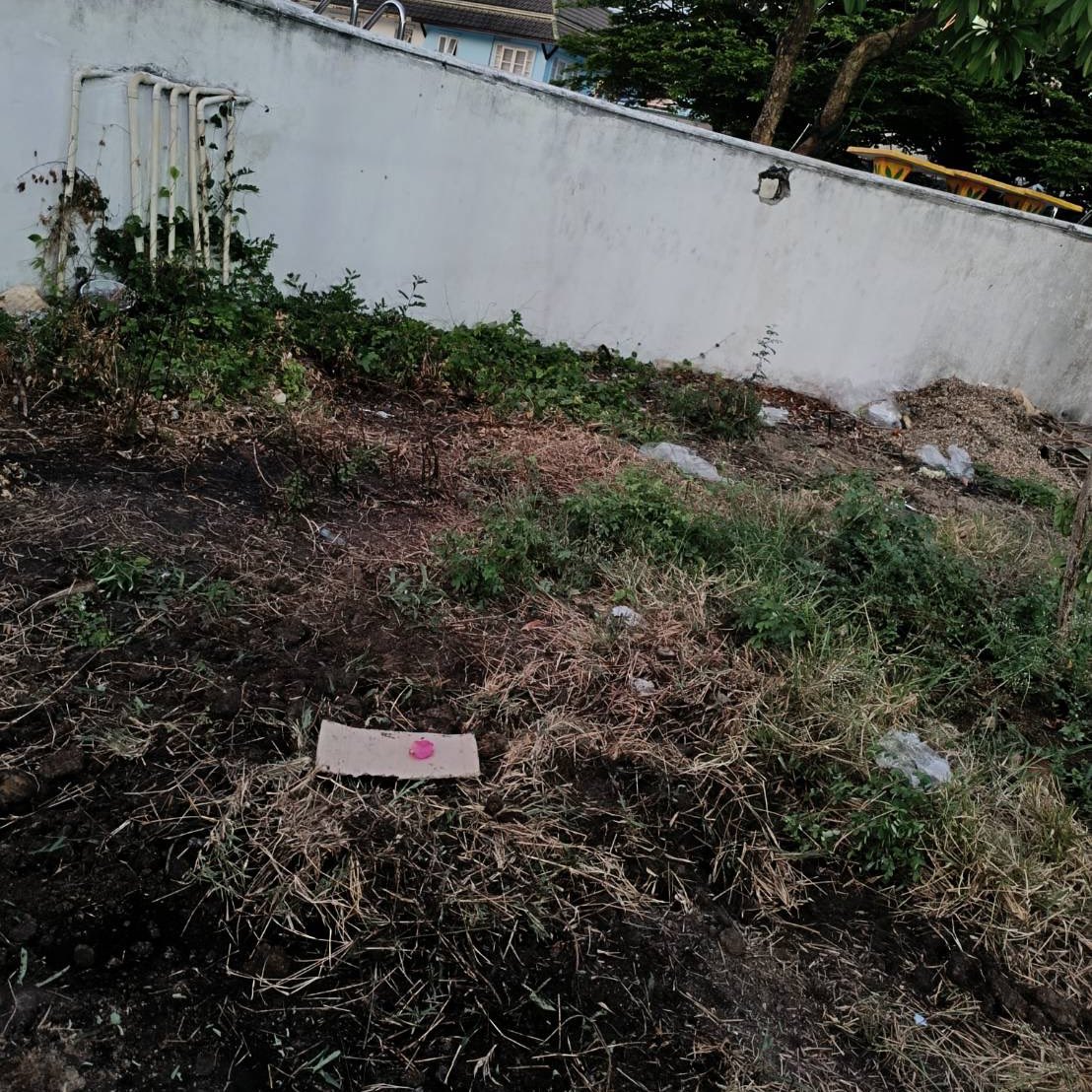 หมารักพี่เบน tweet media