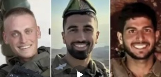 زلمی ليکوال tweet media