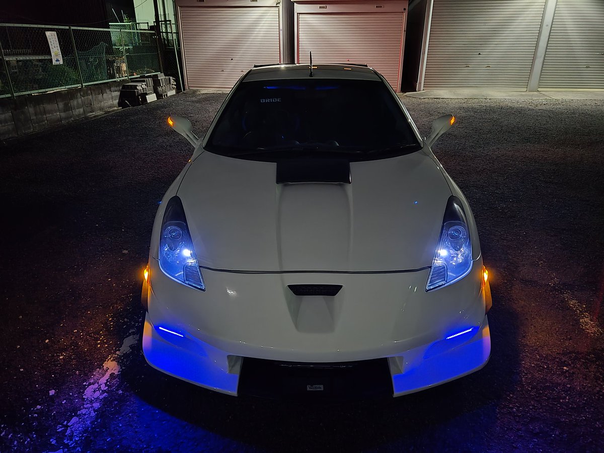 シュヴァルベ（つばめ） tweet media