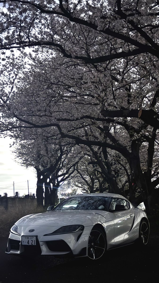 くれい@Supra tweet media