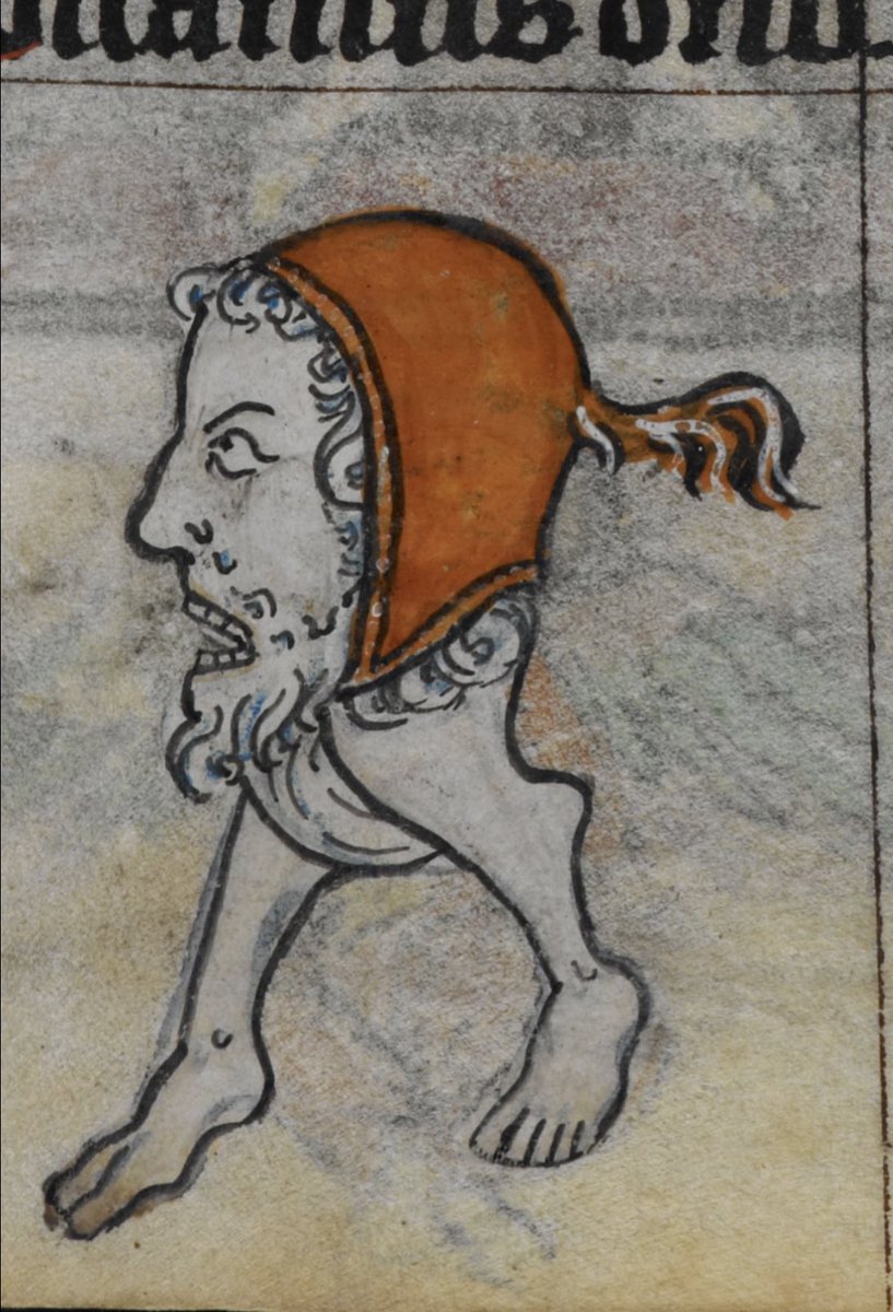 Vatanabeus tweet media