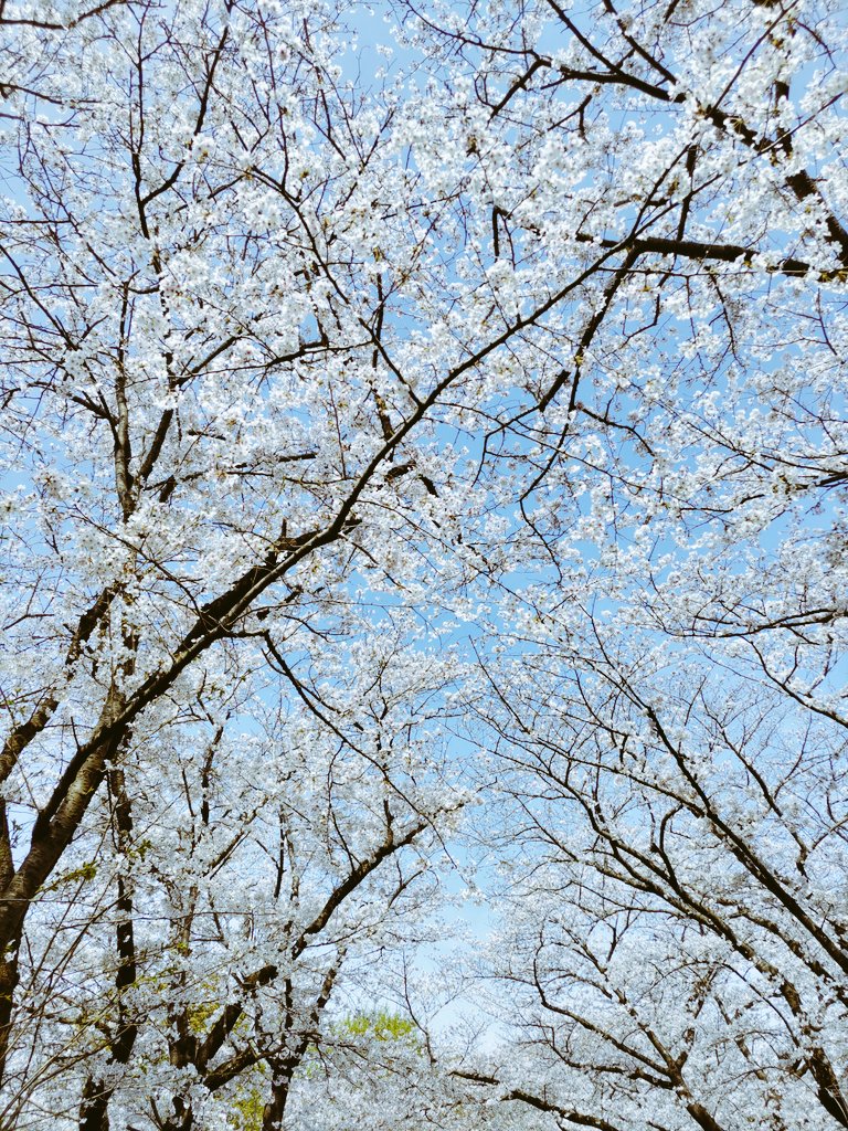 JACK IN THE BOX tweet media