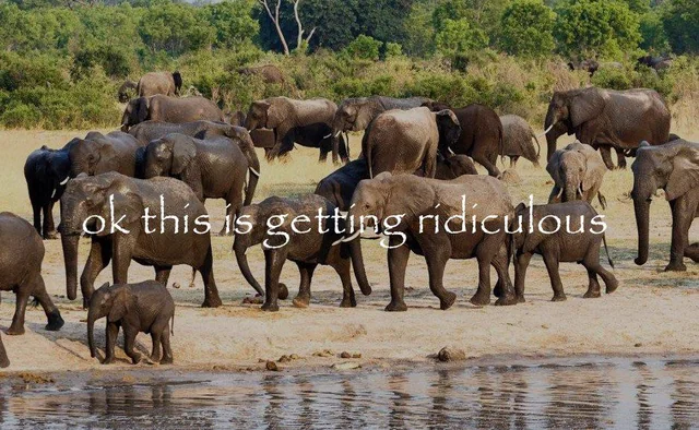 angel ♡ tweet media