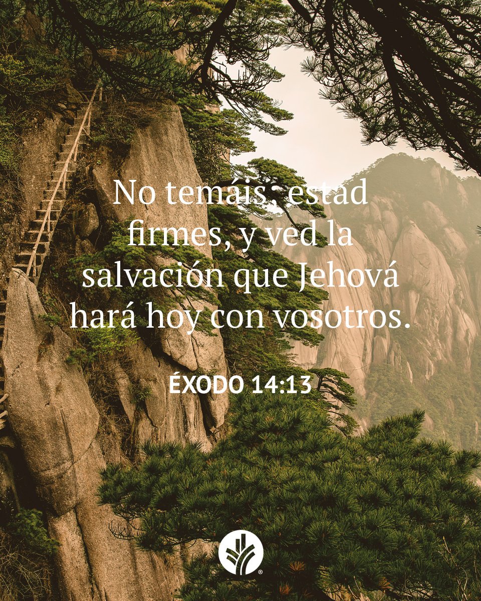 Nuestro Pan Diario tweet media