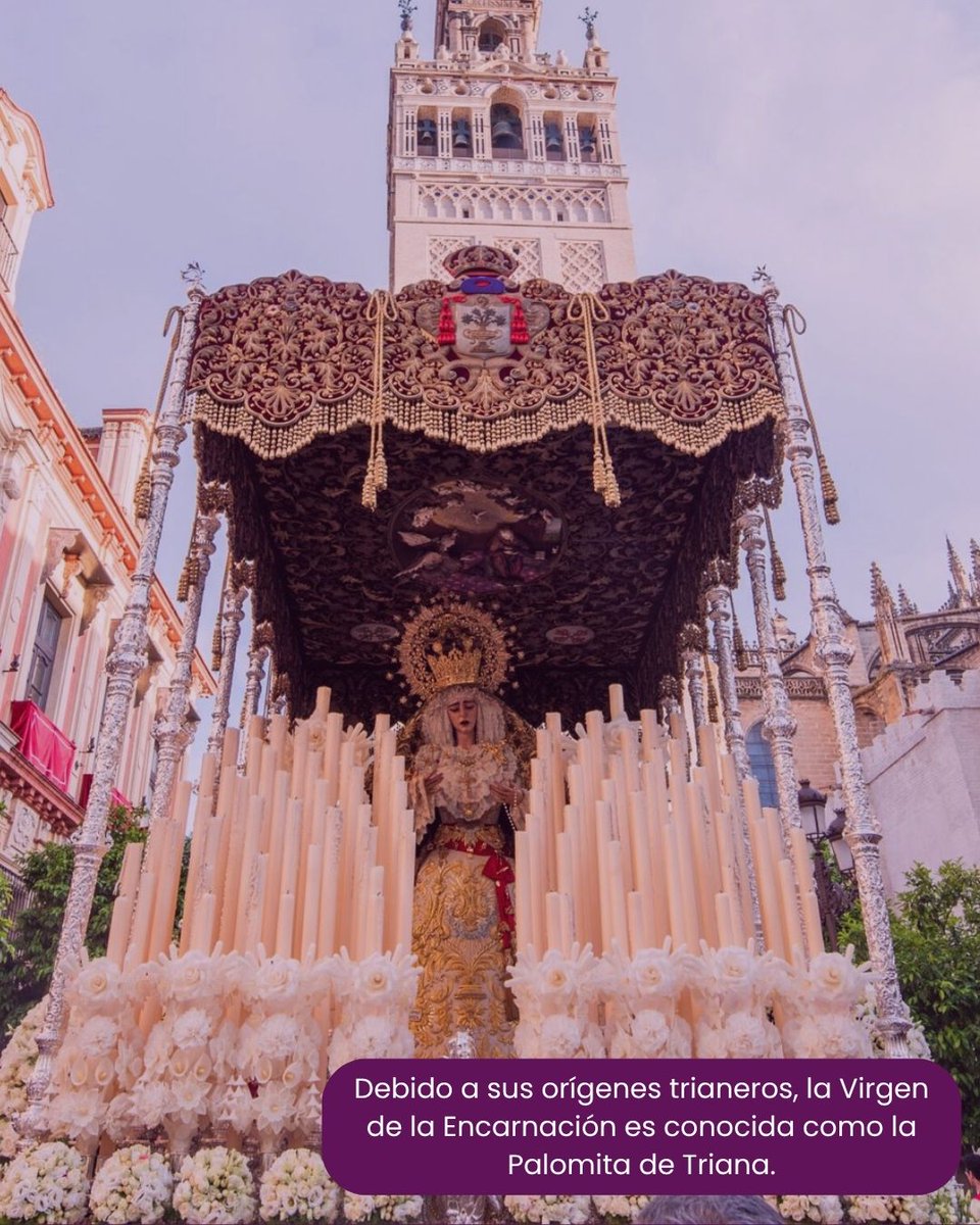 Past View Experience tweet media