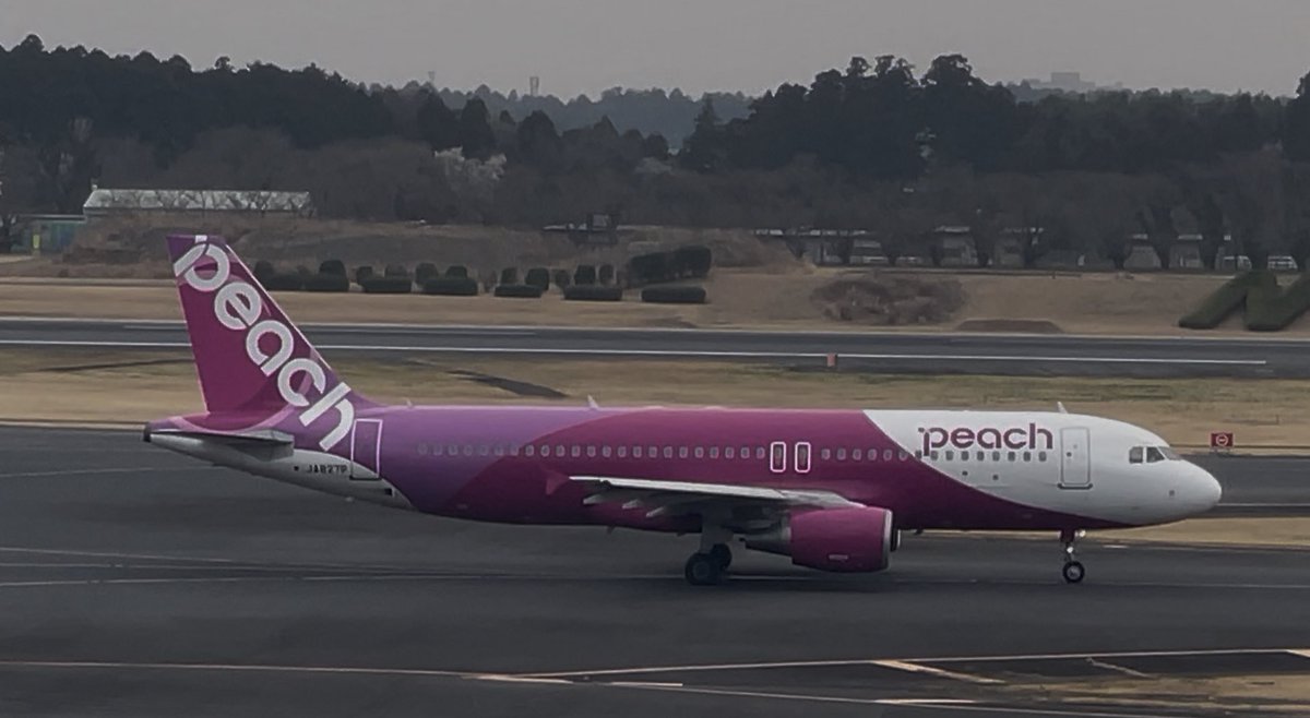 なしこ✈︎ tweet media