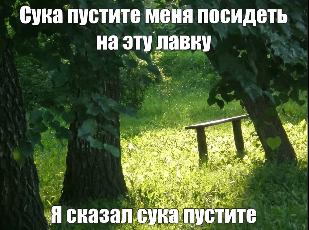 Вулик tweet media