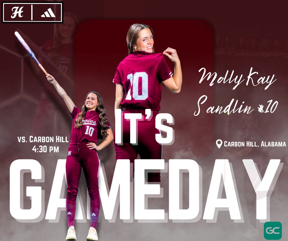 Hamilton Softball tweet media