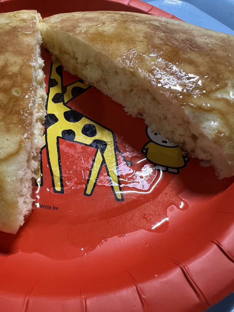 🫘まめ🐶しば tweet media