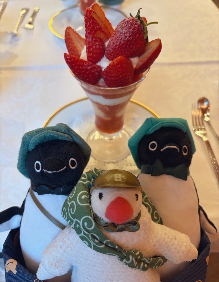 くま文 tweet media