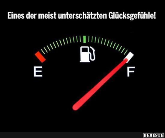 CrissyCat🕊😸 tweet media