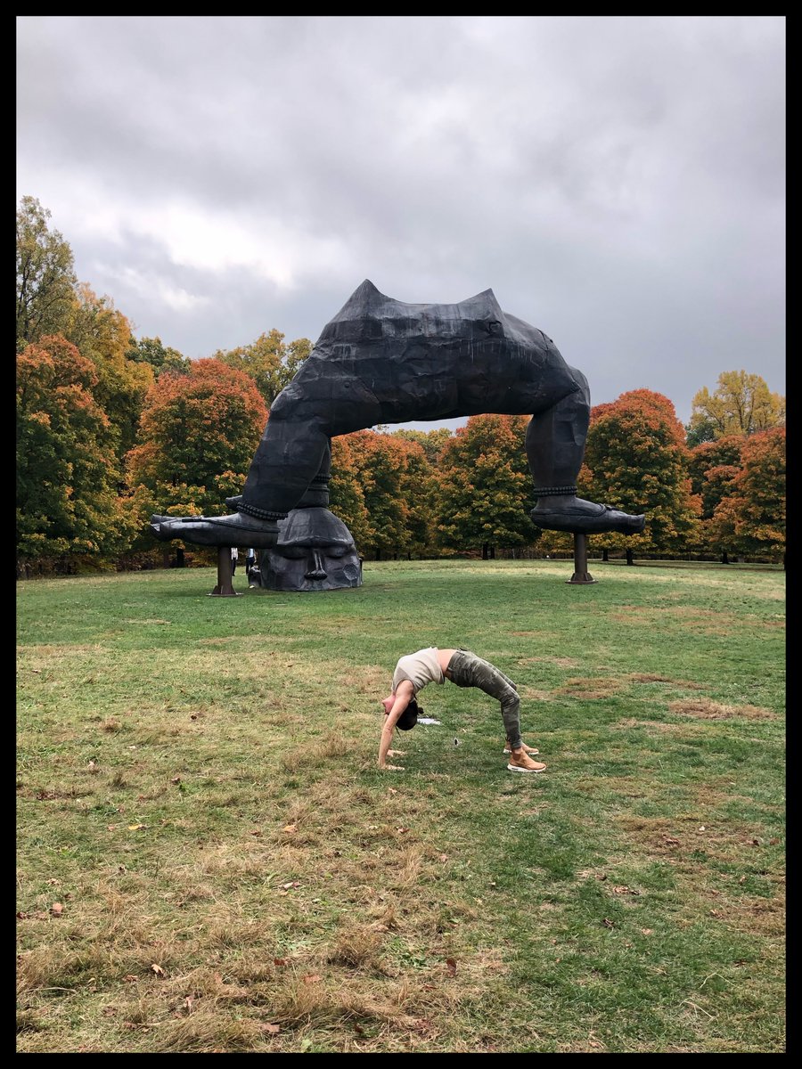 Stephen Panus tweet media