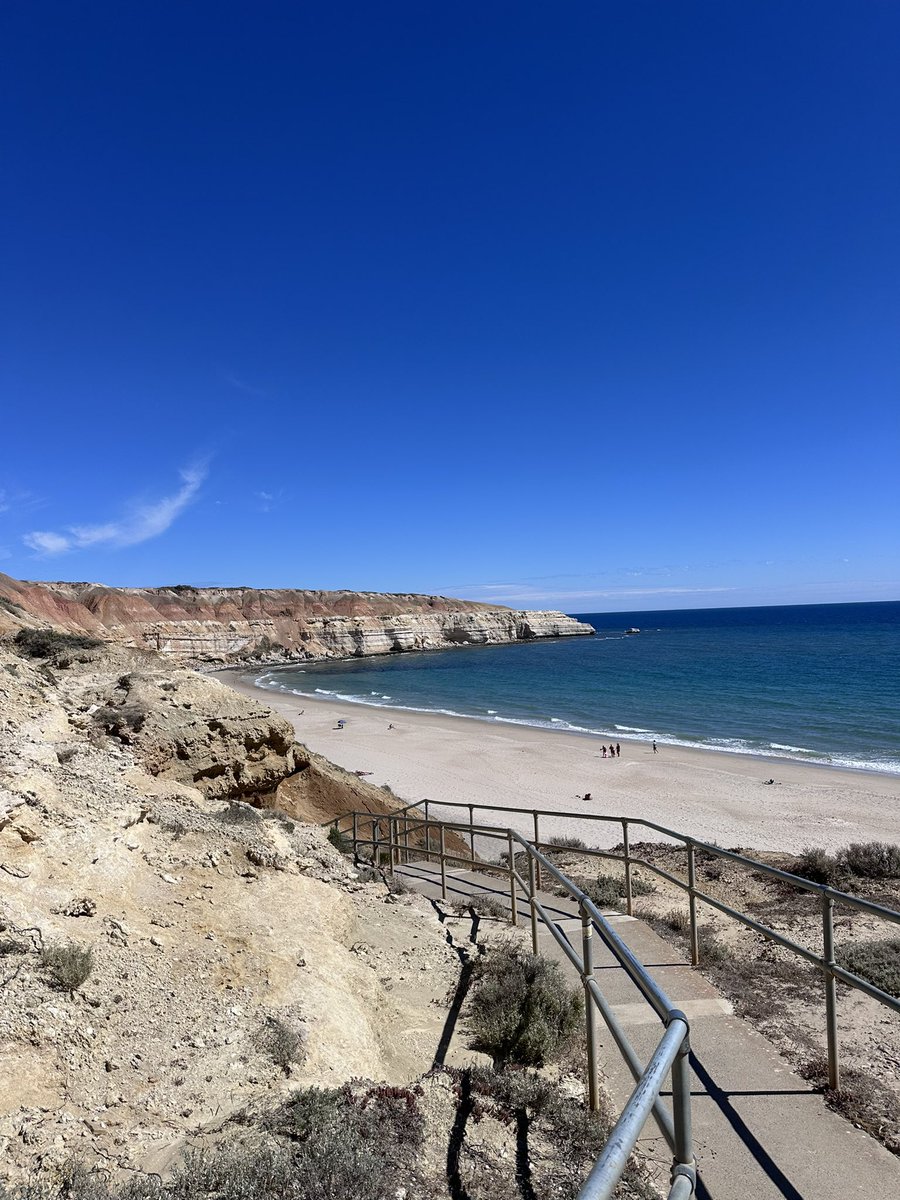 Jarryd Reed GAY NOMAD AUS 🇦🇺 tweet media