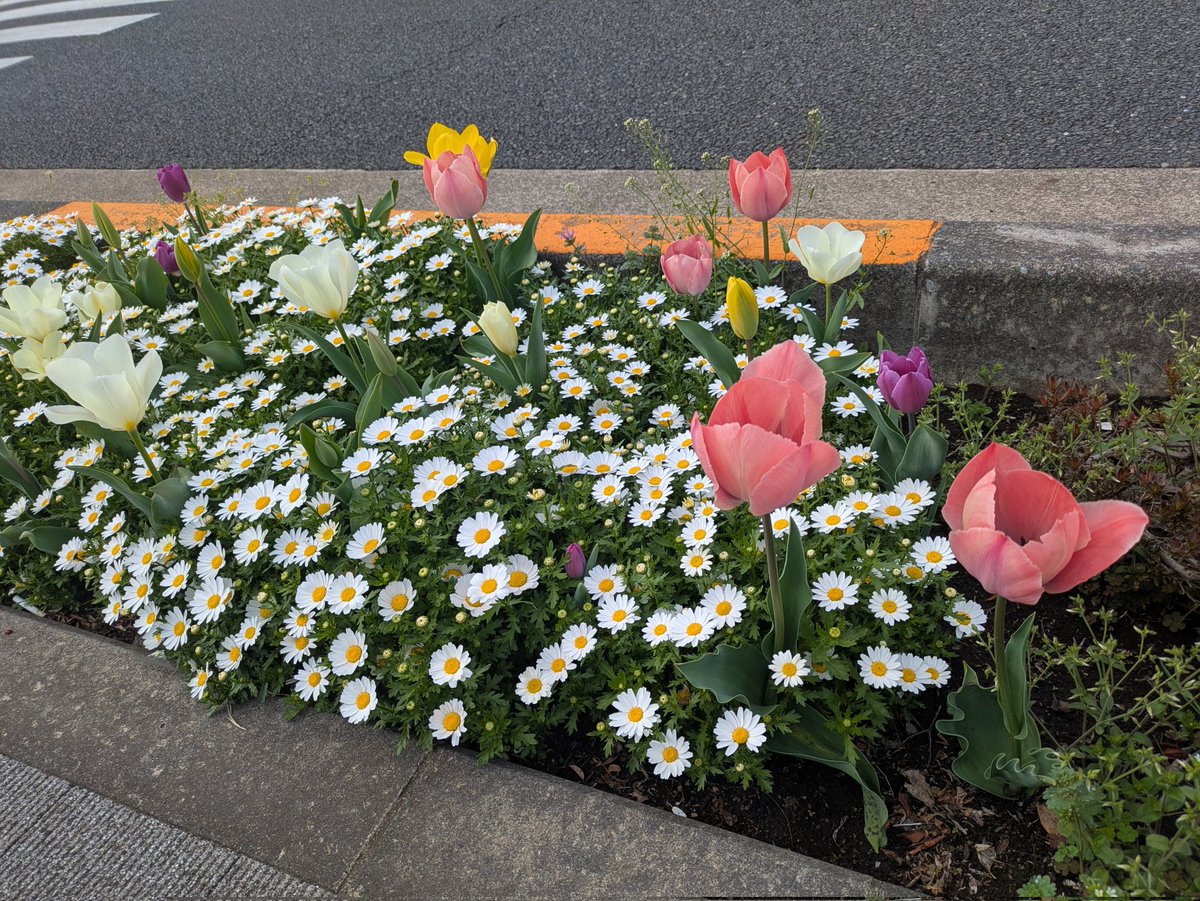 はりけ～んず前田登 tweet media