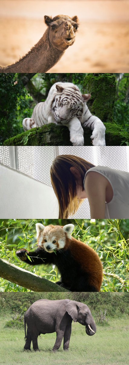 あいりに決まってる! tweet media