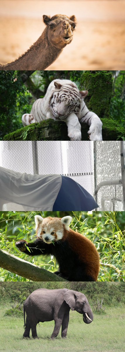 あいりに決まってる! tweet media