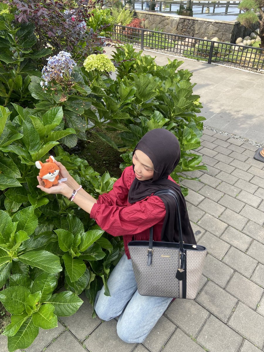 dipdipp✿ tweet media