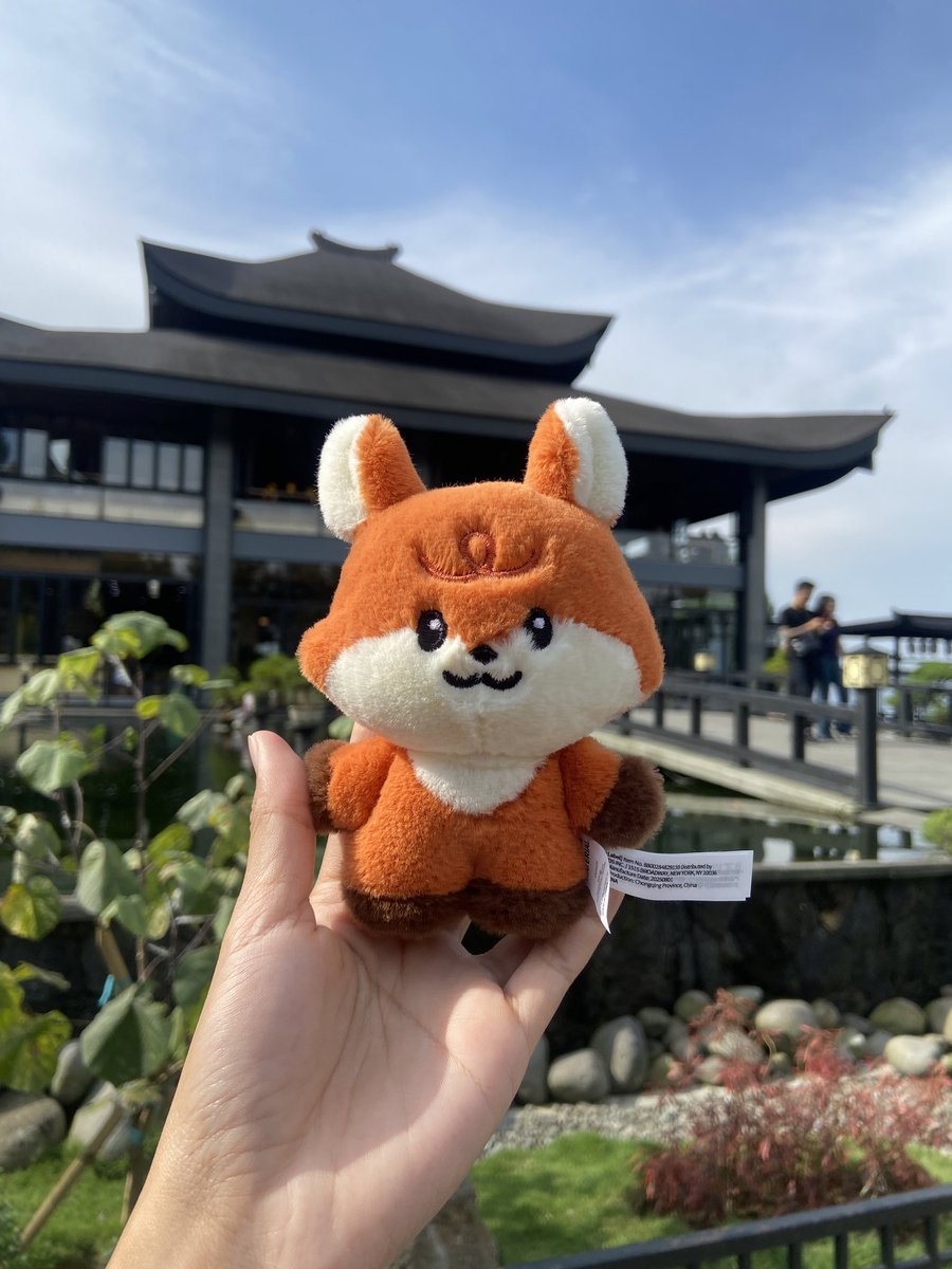 dipdipp✿ tweet media