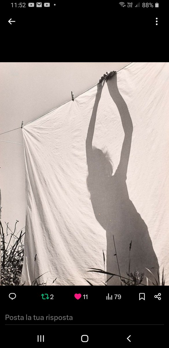 Maria Giulia tweet media