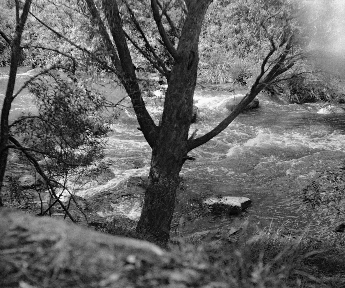 Ilford HP5 on a vintage Zorki 4...