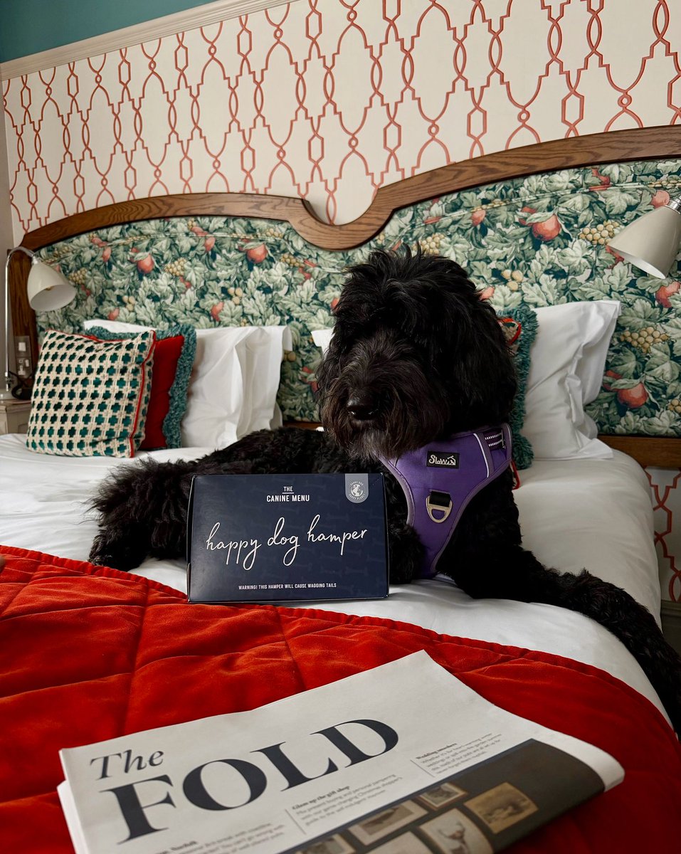 Orange Tree Hotel tweet media