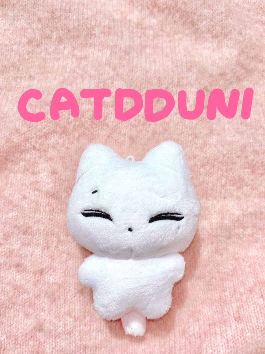 캣떠니 tweet media