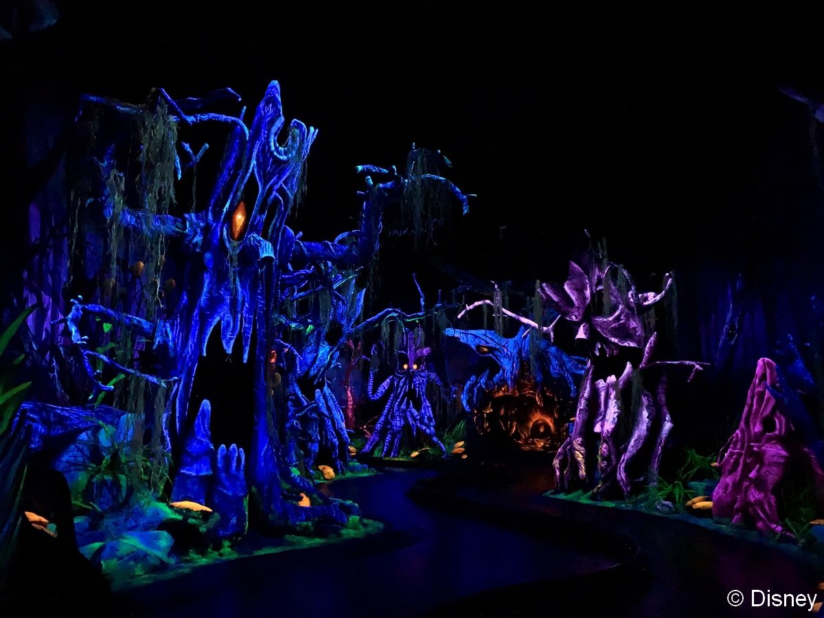 Pixie Dust DLP ✨ tweet media