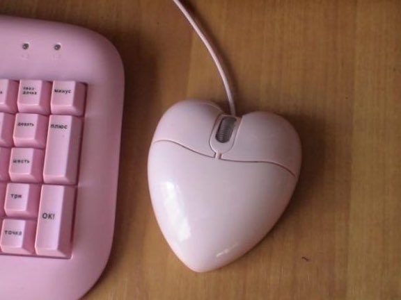 ๐ฅ๐ฎ๐๐ข๐๐ฏ๐จ๐ข๐ โพ tweet media