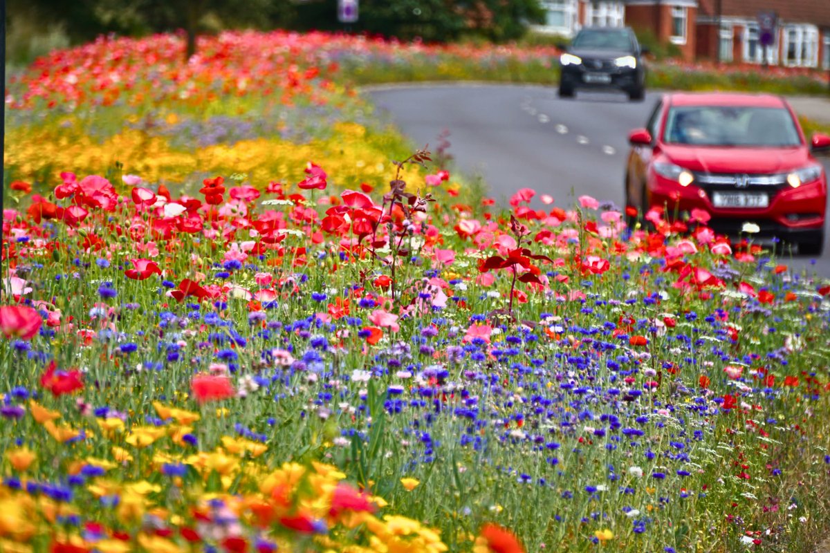 Give A Shit About Nature tweet media