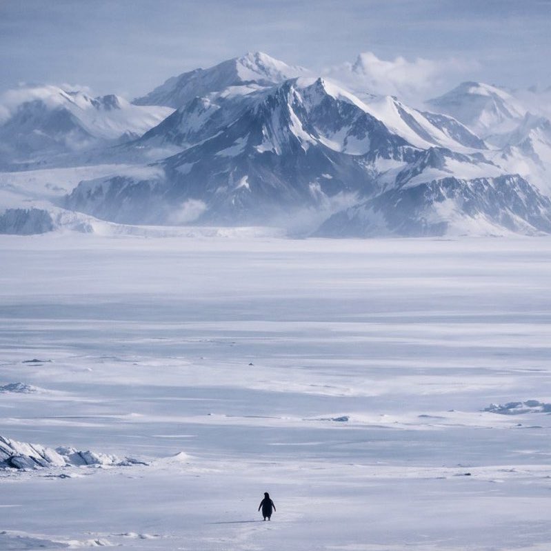 Sam Edwards tweet media