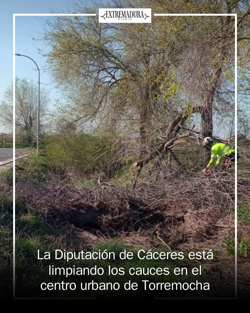 Extremadura Diario tweet media