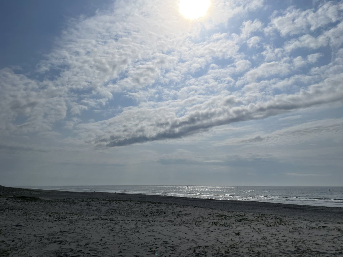 モロチ tweet media